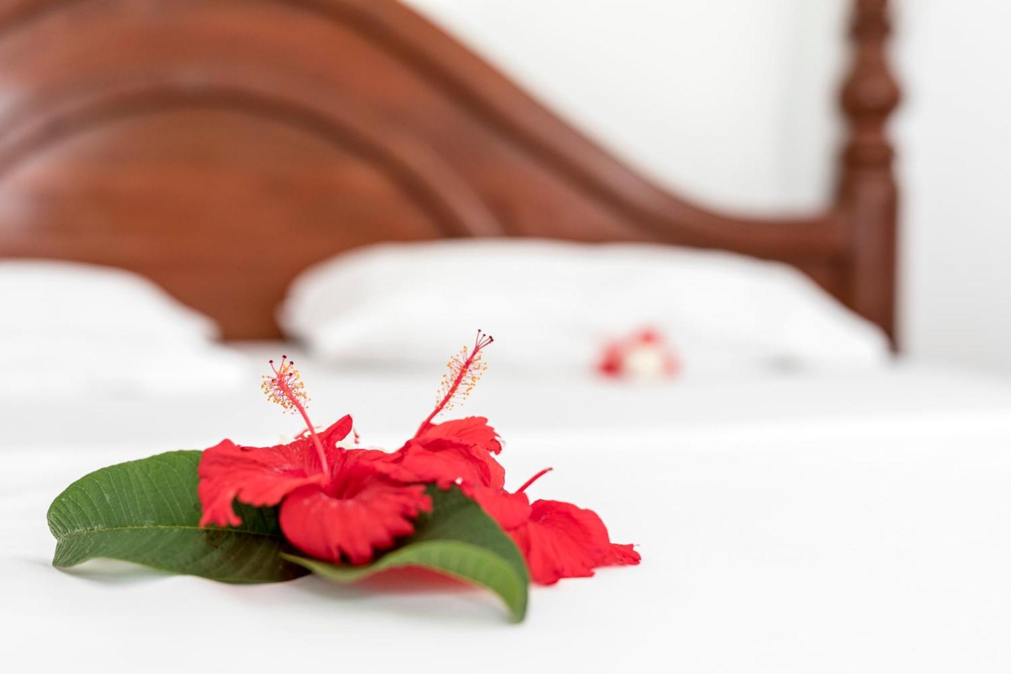 Kite Active Paje Hotel Екстериор снимка